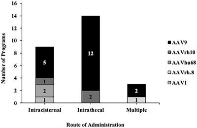Pre-clinical delivery of gene therapy products to the cerebrospinal fluid: challenges and considerations for clinical translation